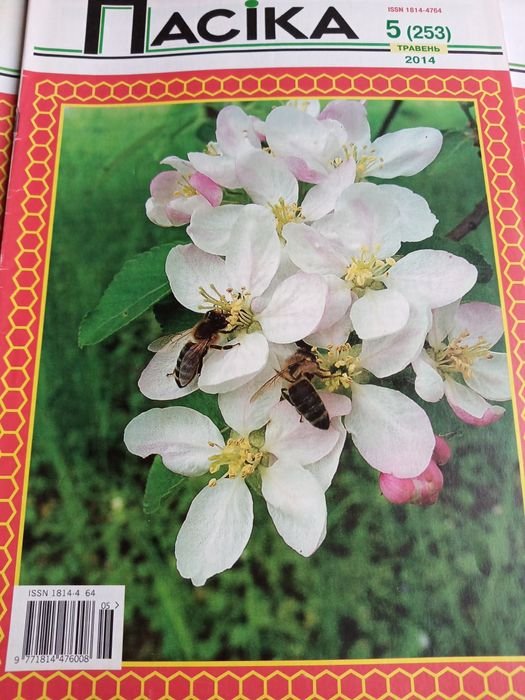 Журнал Пасіка