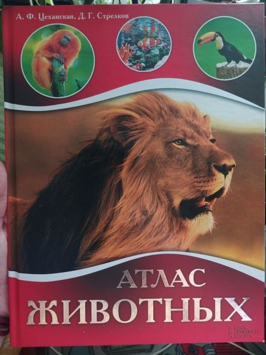 А. Цеханская, Д. Стрелков. Атлас животных