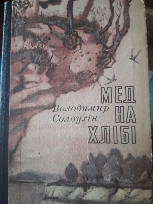 В. Сорокин. Мед на хлебе