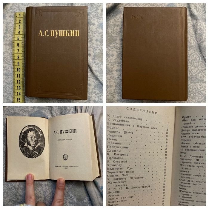 А.С. Пушкин. Стихотворения