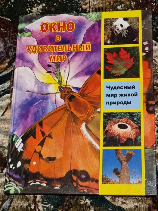 Окно в удивительный мир. Чудесный мир живой природы