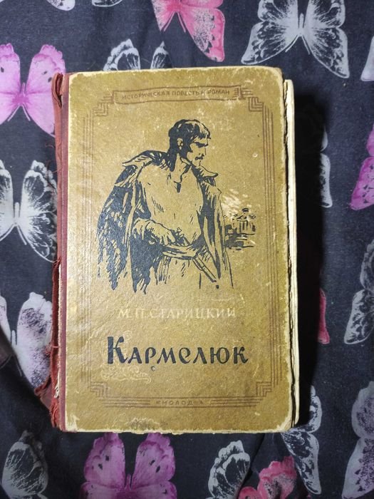 Старицкий Кармелюк