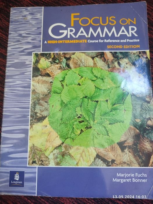 Focus on Grammar