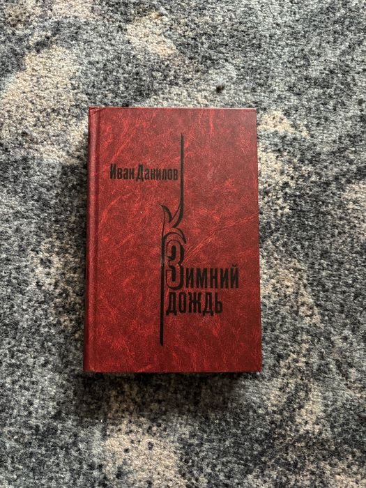 И. Данилов. Зимний дождь