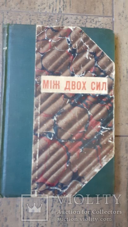 В. Винниченко. Между двух сил