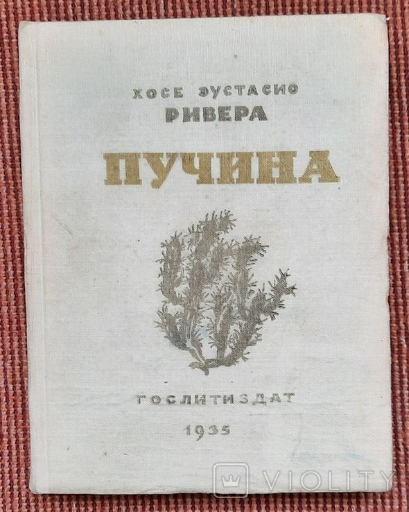 Х.Е. Ривера. Бездна