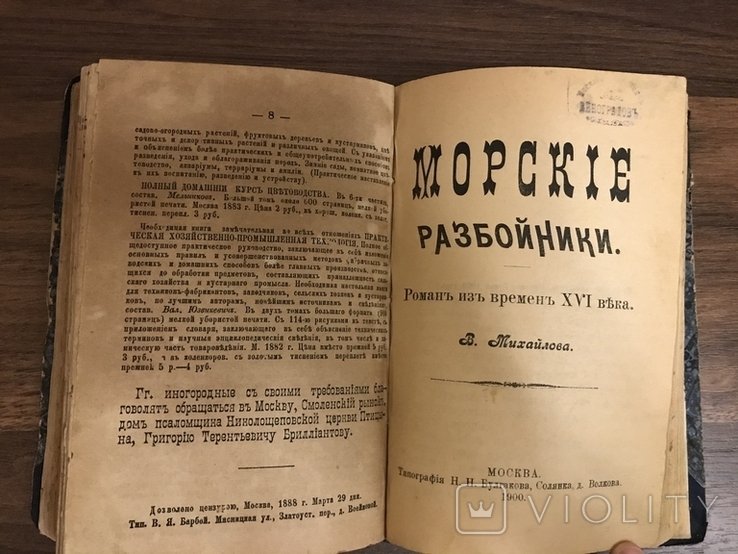 В. Михайлов. Таинственное подземелье / Морские разбойники