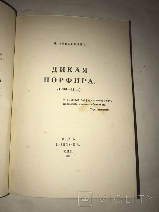М. Зенкевич. Дикая порфира