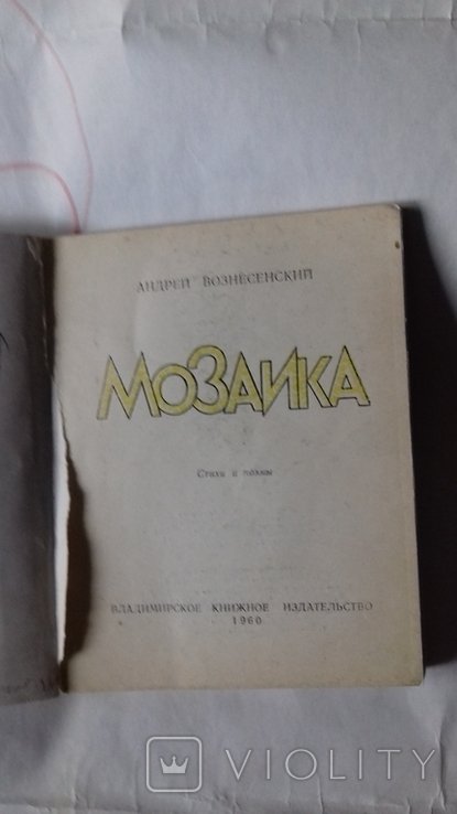 А. Вознесенский. Мозаика