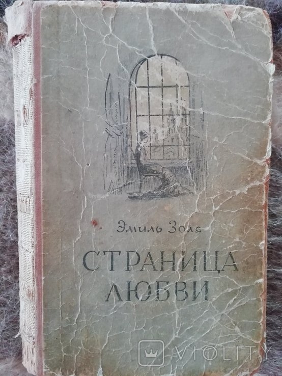 Э. Золя. Страница любви