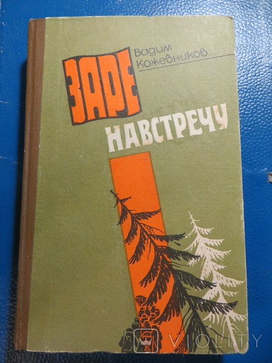 В. Кожевников. Заре навстречу