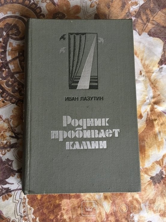 И. Лазутин. Родник пробивает камень