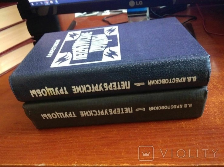В. Крестовский. Петербургские трущобы
