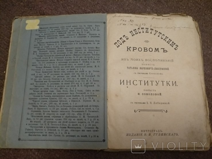 Н. Соколов. Институтки