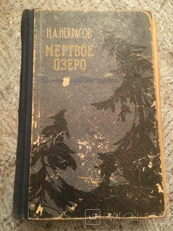 Н.А. Некрасов. Мертвое озеро