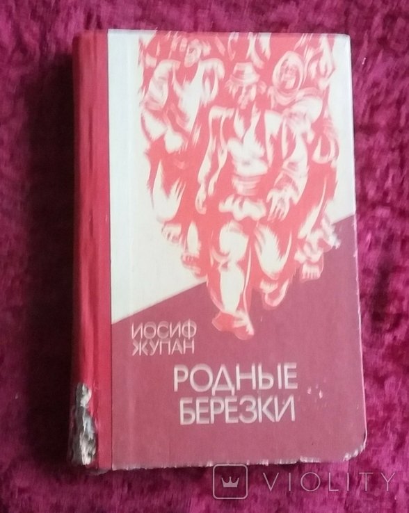 И. Жупан. Родные березки