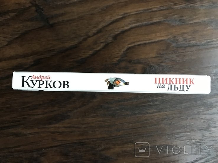 А. Курков. Пикник на льду