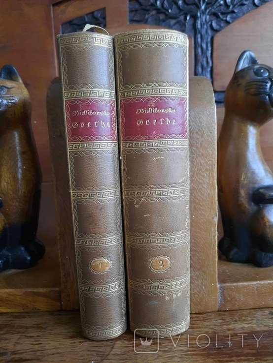 И.В. Гете. Его жизнь и его произведения