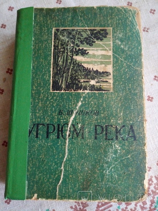 В. Шишков. Похмура река