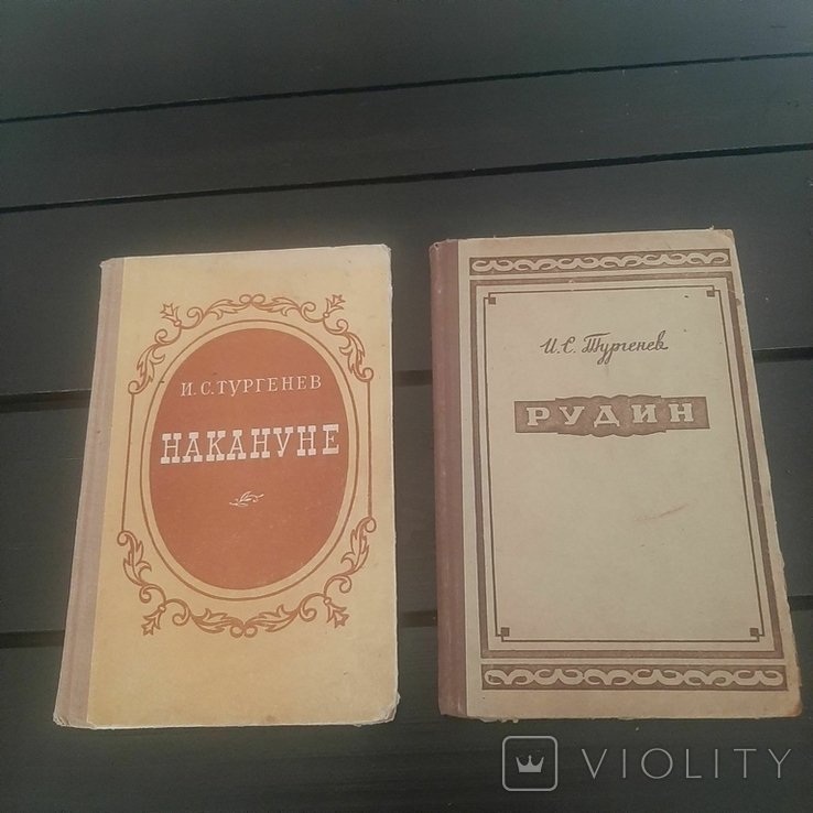 И.С. Тургенев. Рудин и Накануне