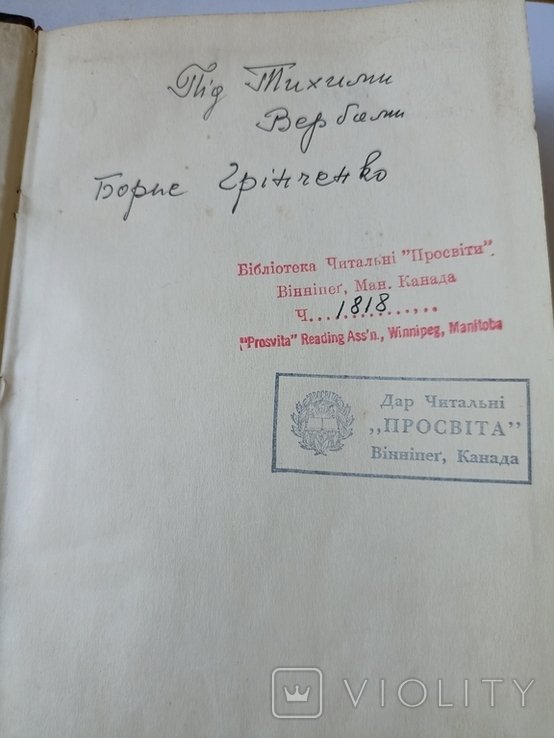 Б. Грінченко. Под тихими вербами