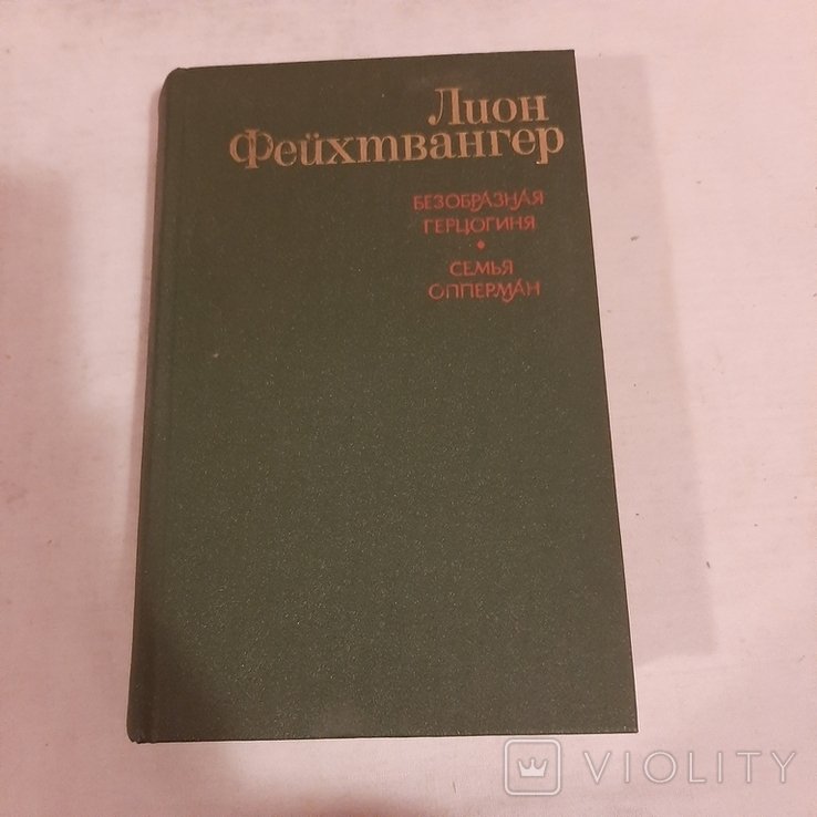Л. Фейхтвангер. Безобразная герцогиня. Семья Опперман