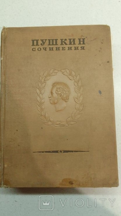 А.С. Пушкин. Сочинения. Том 13
