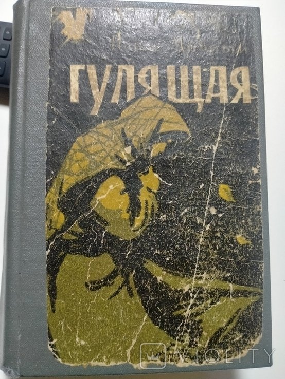 П.М. Мирный. Гулящая