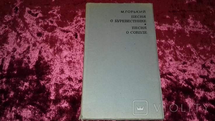 А.М. Горький. Песня о буревестнике. Песня о соколе