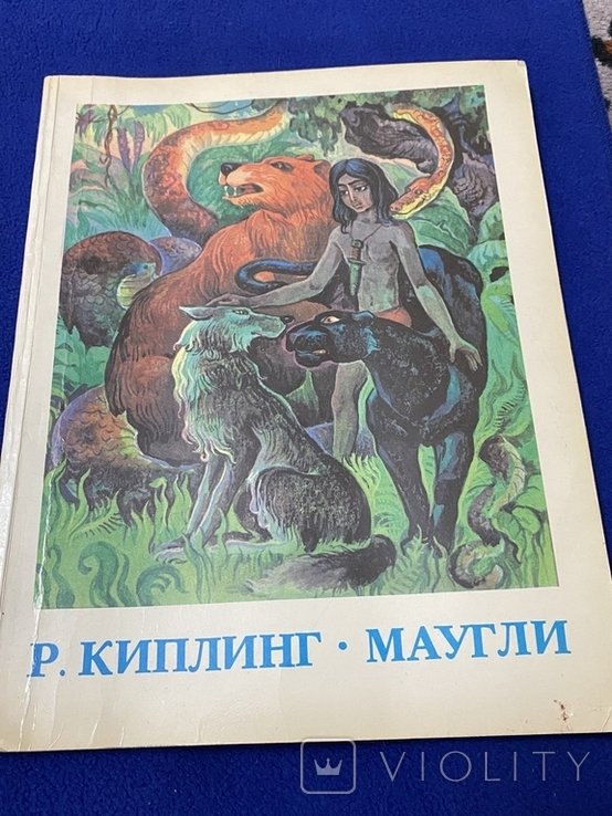 Photo 1
