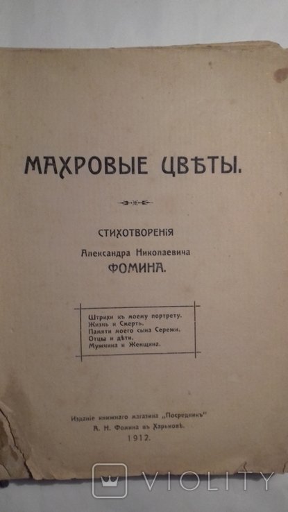А. Фомин. Махровые цветы