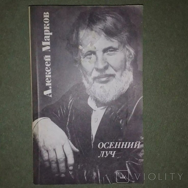 М. Марков. Осенний луч