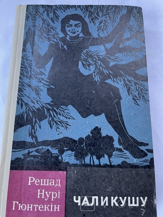 Р.Н. Гюнтекін. Чаликуша