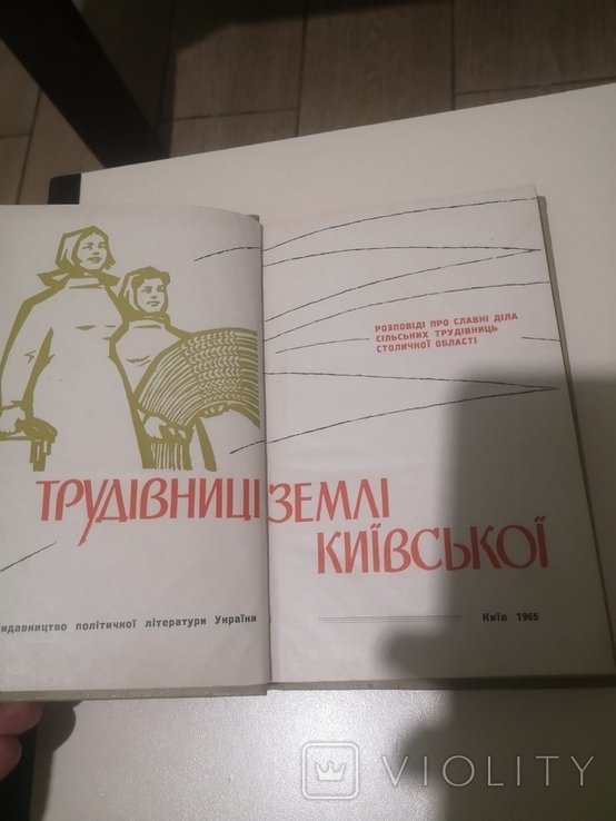 Книга труденицы земли Киевской