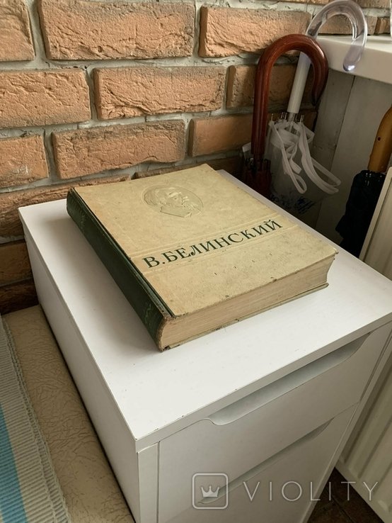 В.Г. Белинский. Избранные сочинения