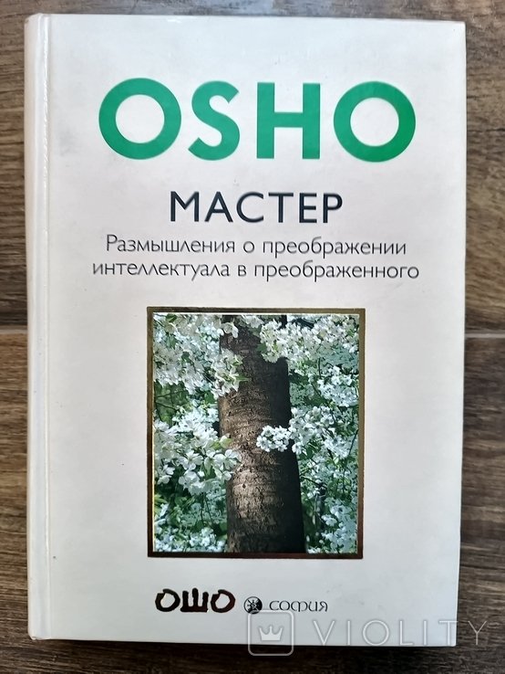Ошо. Мастер. Размышления о преображении интеллектуала в просветленного