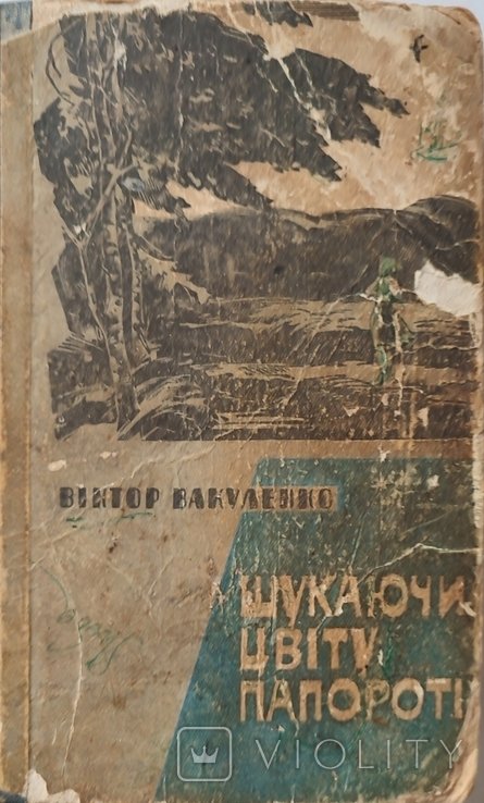 В. Вакуленко. Ищя цвет папоротника