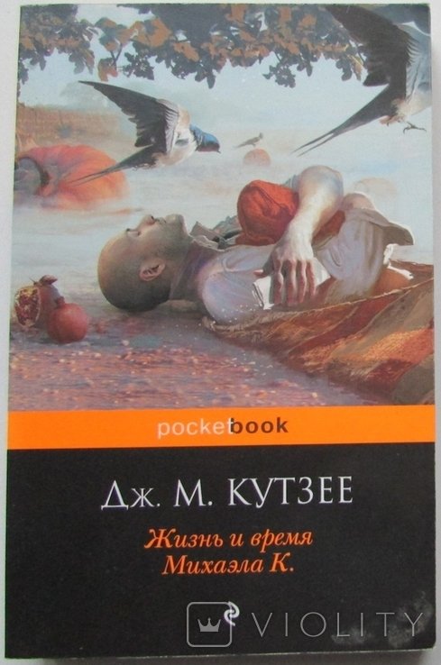 Дж. М. Кутзее. Жизнь и время Михаэла К