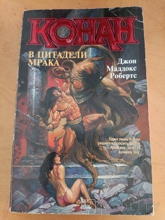 Д. Робертс. Конан в цитадели мрака