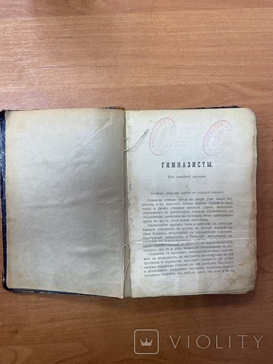 Н. Гаринь. Гимназисты