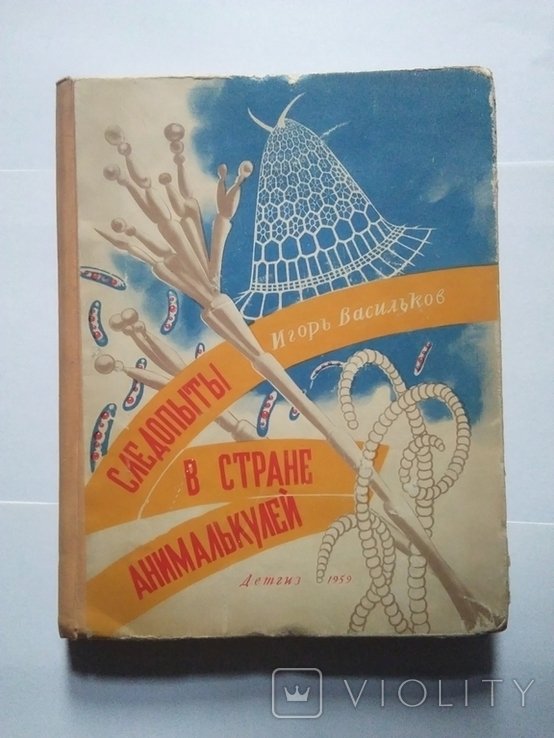 И. Васильков. Следопыты в стране Анималькулей