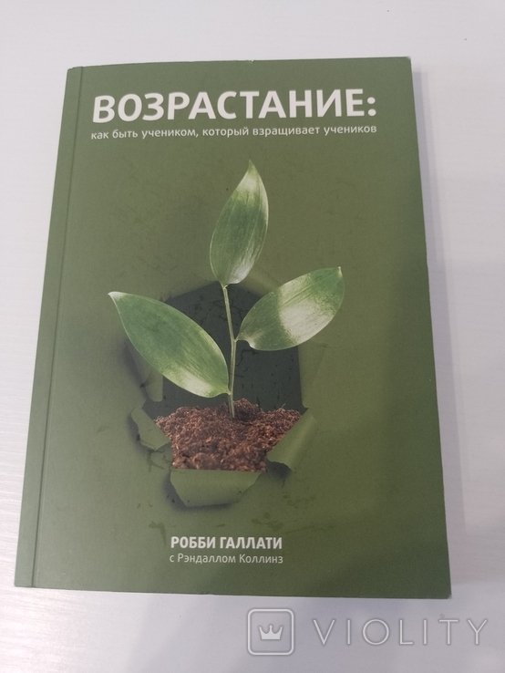 Р. Галлати. Возрастание. Как быть учеником, который взращивает учеников