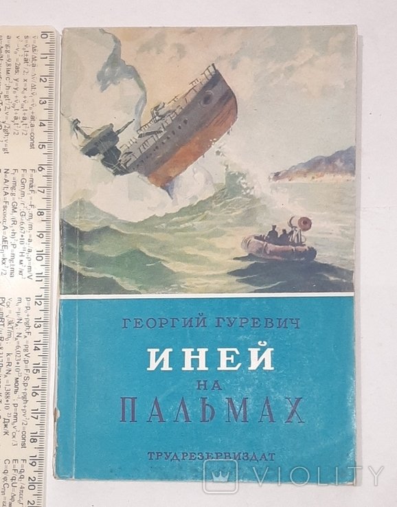 Г. Гуревич. Иней на пальмах