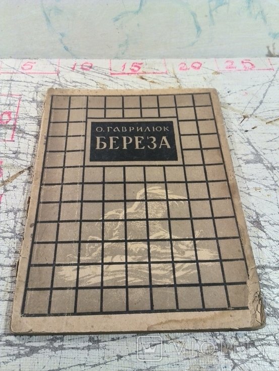 О. Гаврилюк. Береза