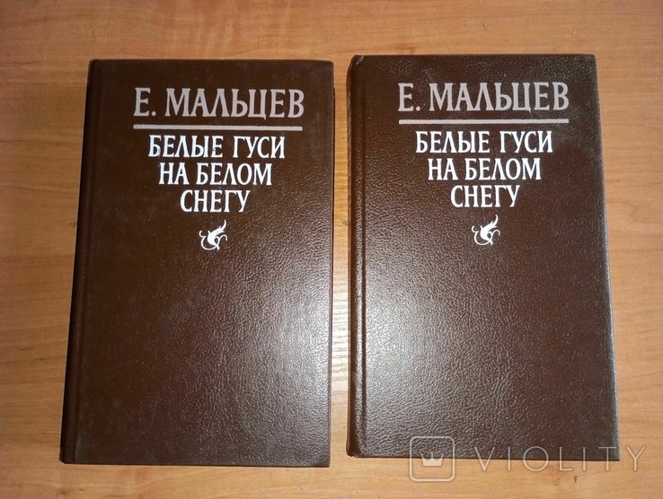 Е.Ю. Мальцев. Белые гуси на белом снегу