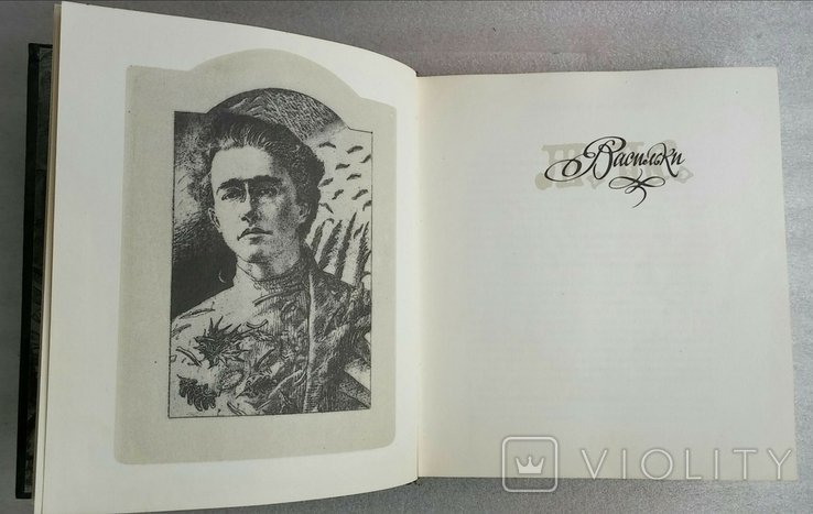 А. Казка. Васильки
