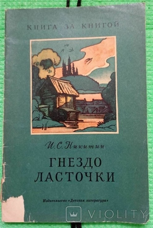 И.С. Никитин. Гнездо ласточки