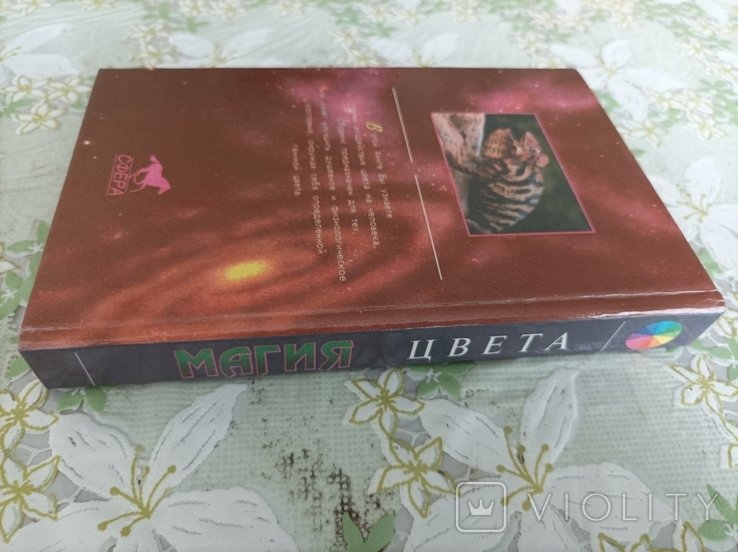 Thumbnail 5