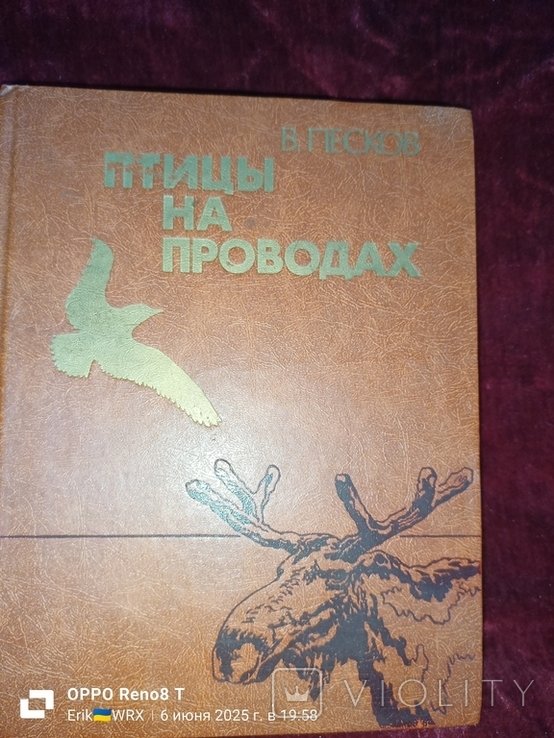 В. Песков. Птицы на проводах