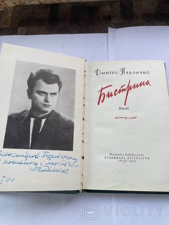 Д. Павличко. Бистрина